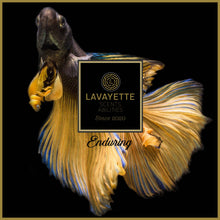 Afbeelding in Gallery-weergave laden, Lavayette - Lavayette Premium Wash Perfume Tasting Pack 9x25ml
