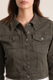Vivid - Denim jacket color: Khaki / 2XL